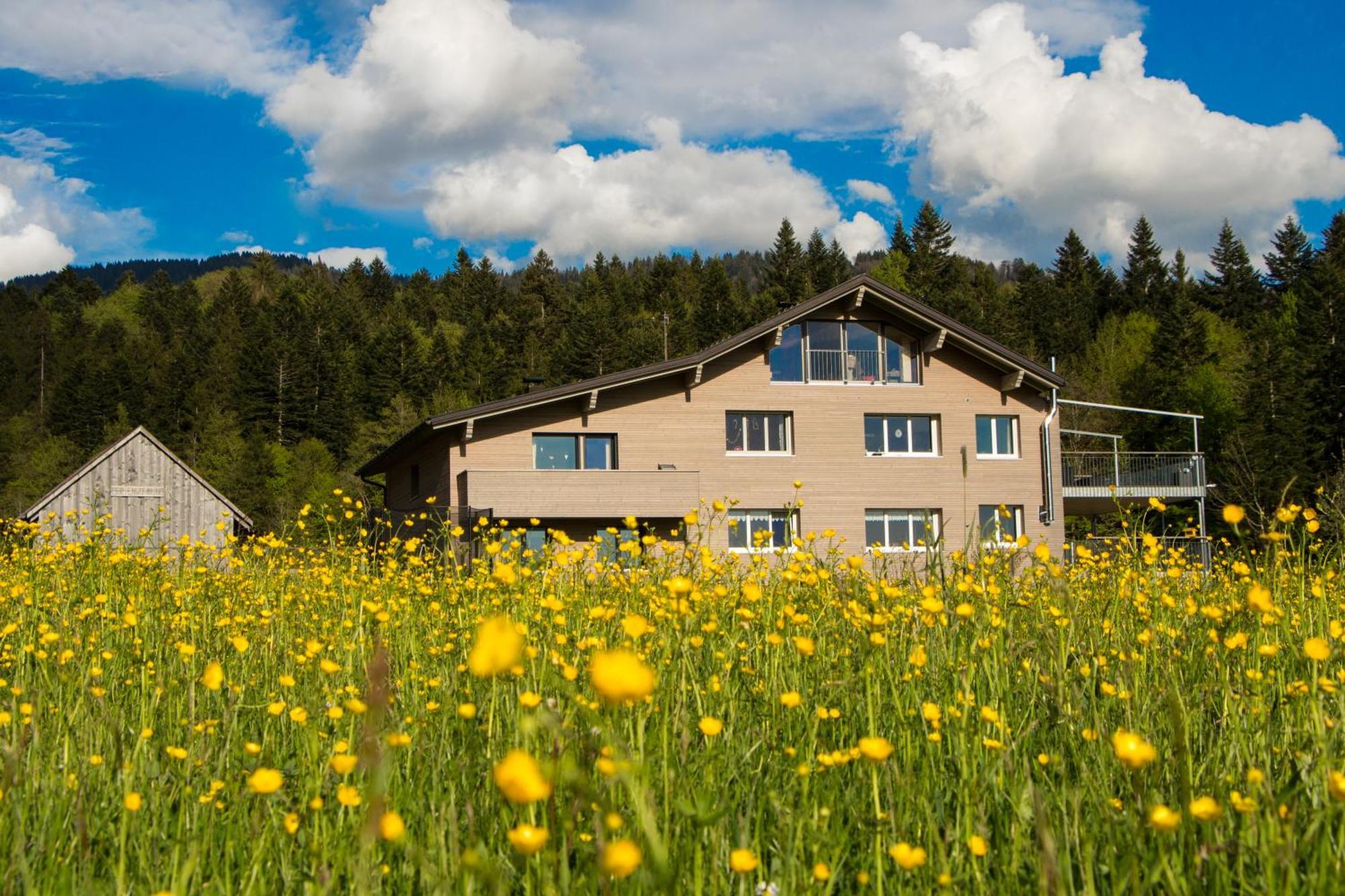 Haus Feurstein Lägenhet Hittisau Exteriör bild