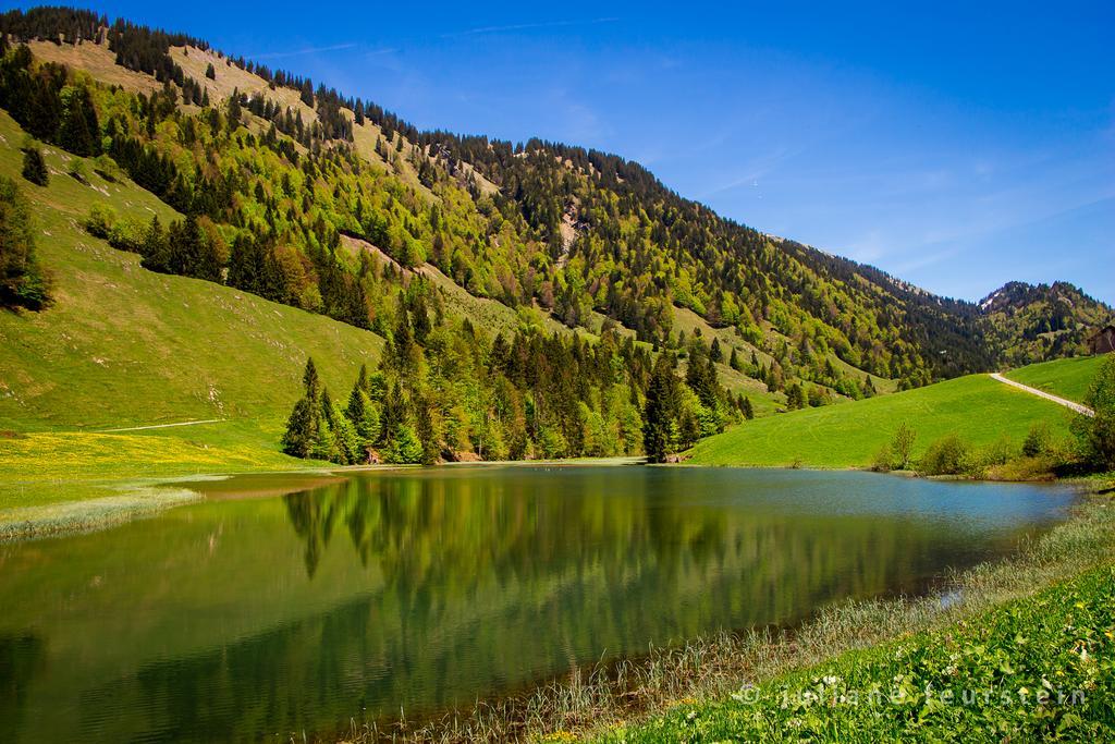 Haus Feurstein Lägenhet Hittisau Exteriör bild
